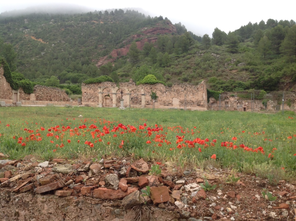 El Priorat florit